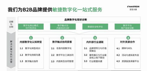 新新未來 B2B品牌敏捷數字化,小切口開啟大時代