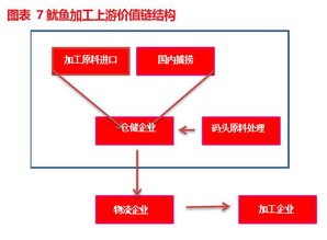 東霖食品 834020 深耕魷魚領域,打造全球水產品產業(yè)鏈體系丨價值大賽優(yōu)秀研報